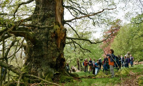 20180512 1041 sammcqueen