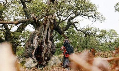 20180512 1079 sammcqueen