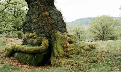 20180512 1087 sammcqueen