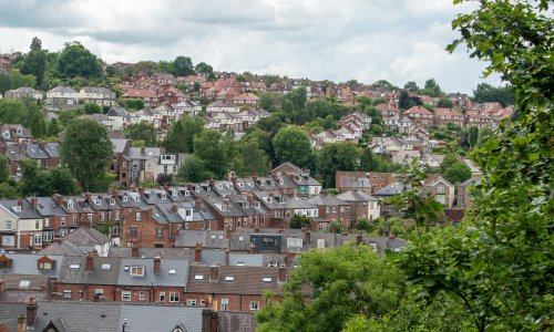 Sheffield tree care services